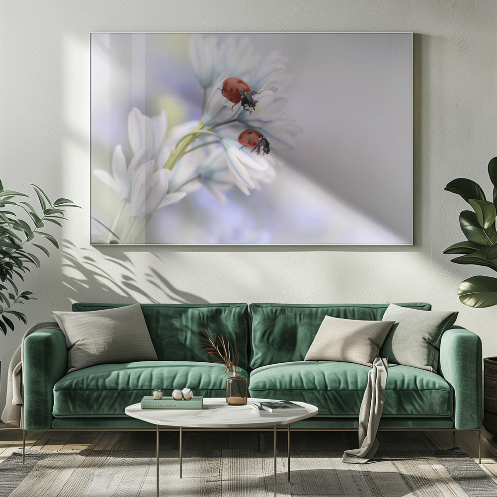 Wall art Ladybirds-5