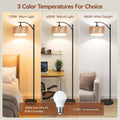 Arched Floor Lamp With Adjustable Color Temperatures