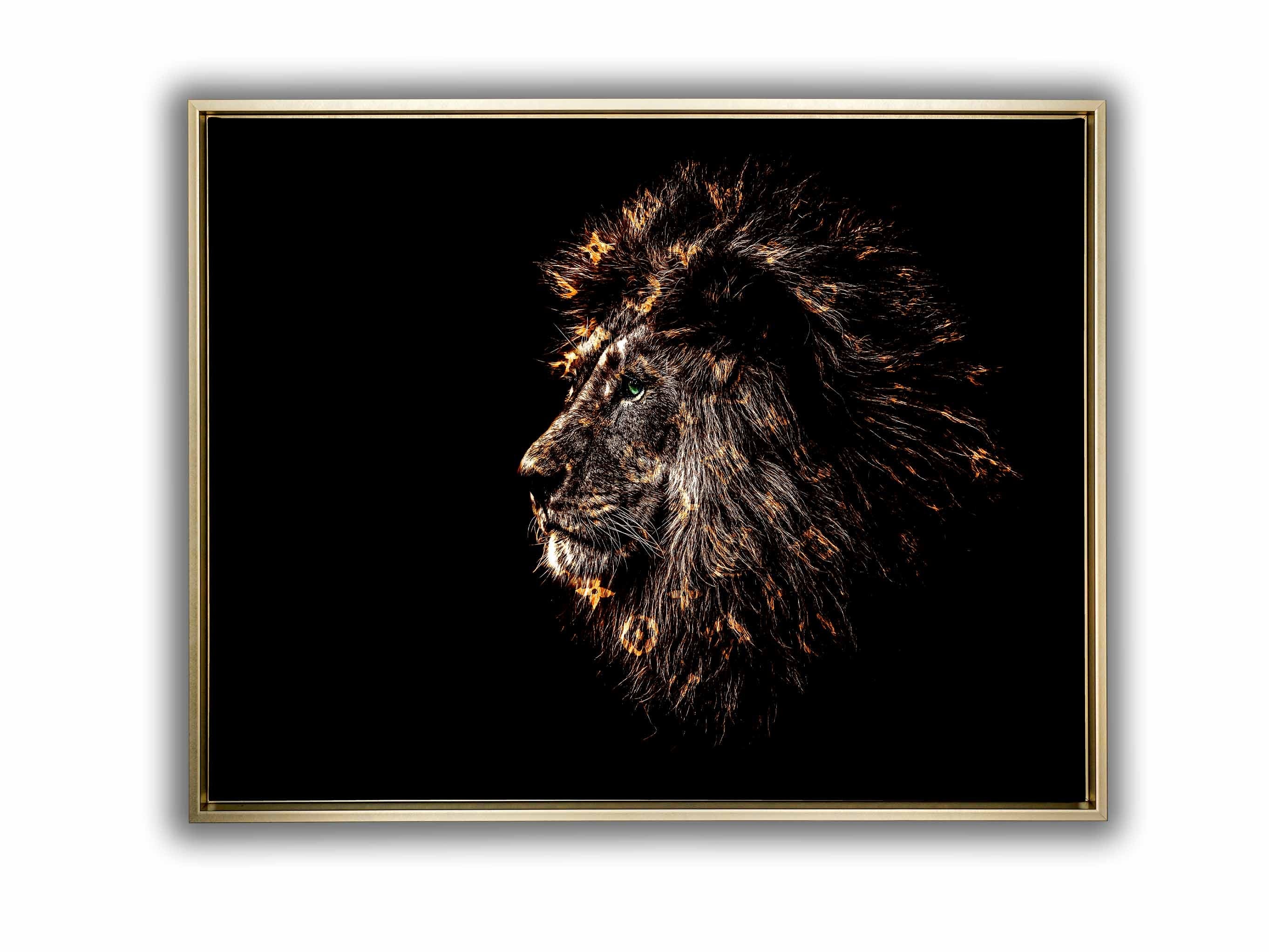 Rich Gold Emblazoned Lion