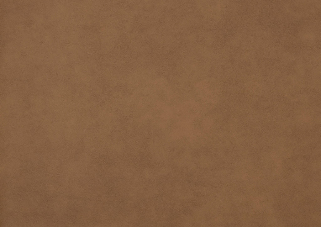 25516349