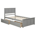 Twin Size Gray Platform Storage Bed with 2 Wheels-Drawers