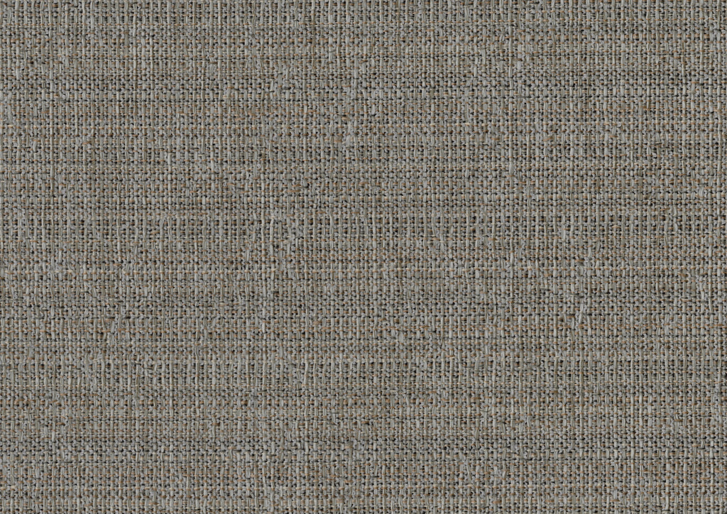 24468362