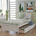 Twin size Platform Bed with Two Drawers, White
