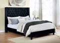 Elegant Black 1pc Queen Size Bed Fully Upholstered Frame Fabric Tufted HB Bedroom Wingback Design