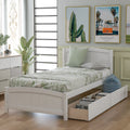 Twin size Platform Bed with Two Drawers, White