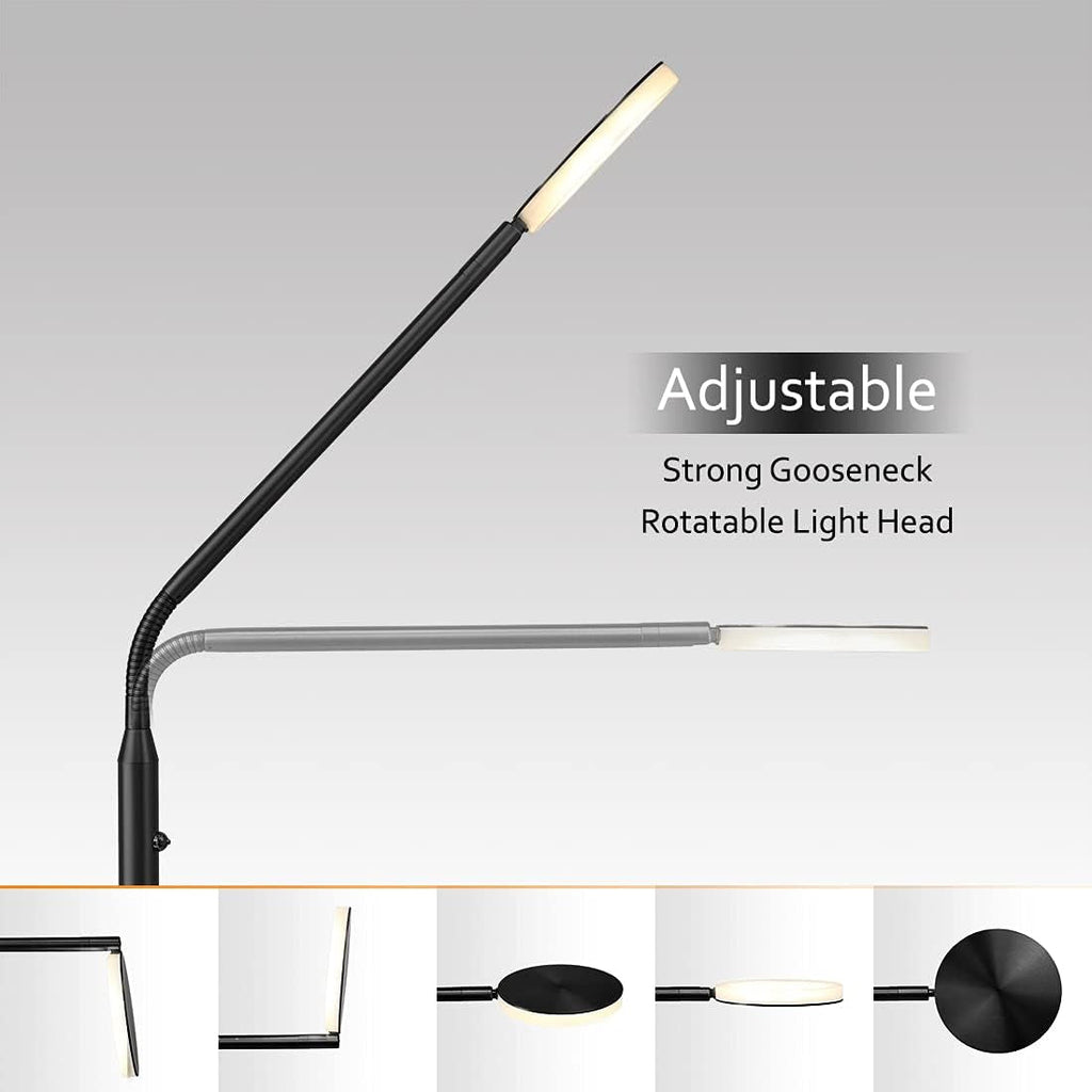 Dimmable LED Floor Lamp Adjustable Color Temperature