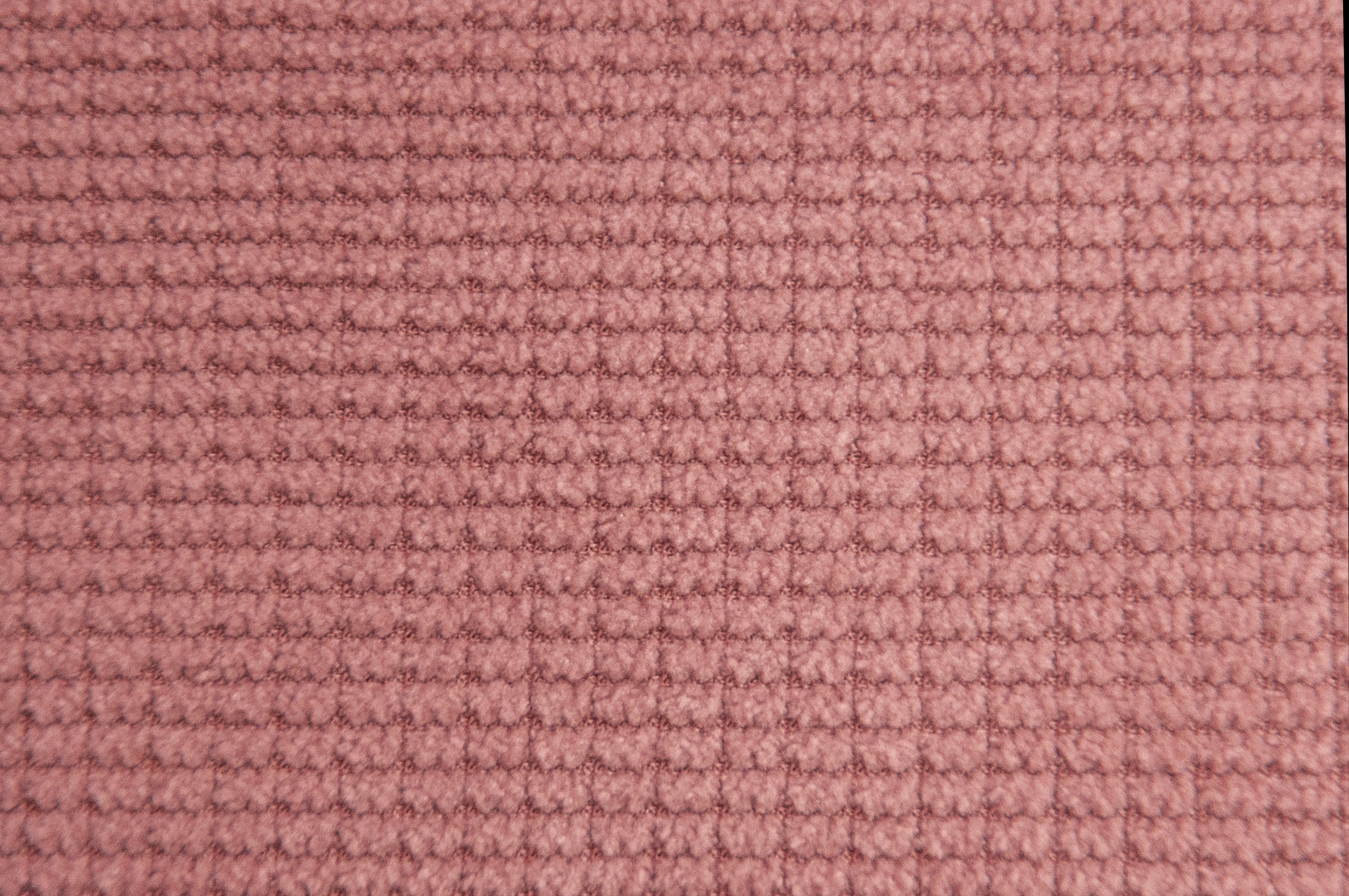 25696763