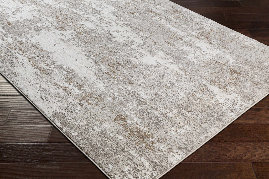 Binabaan Abstract Area Rug