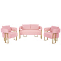 Pink Teddy  Modern Decorative 3-Piece Living Room Set