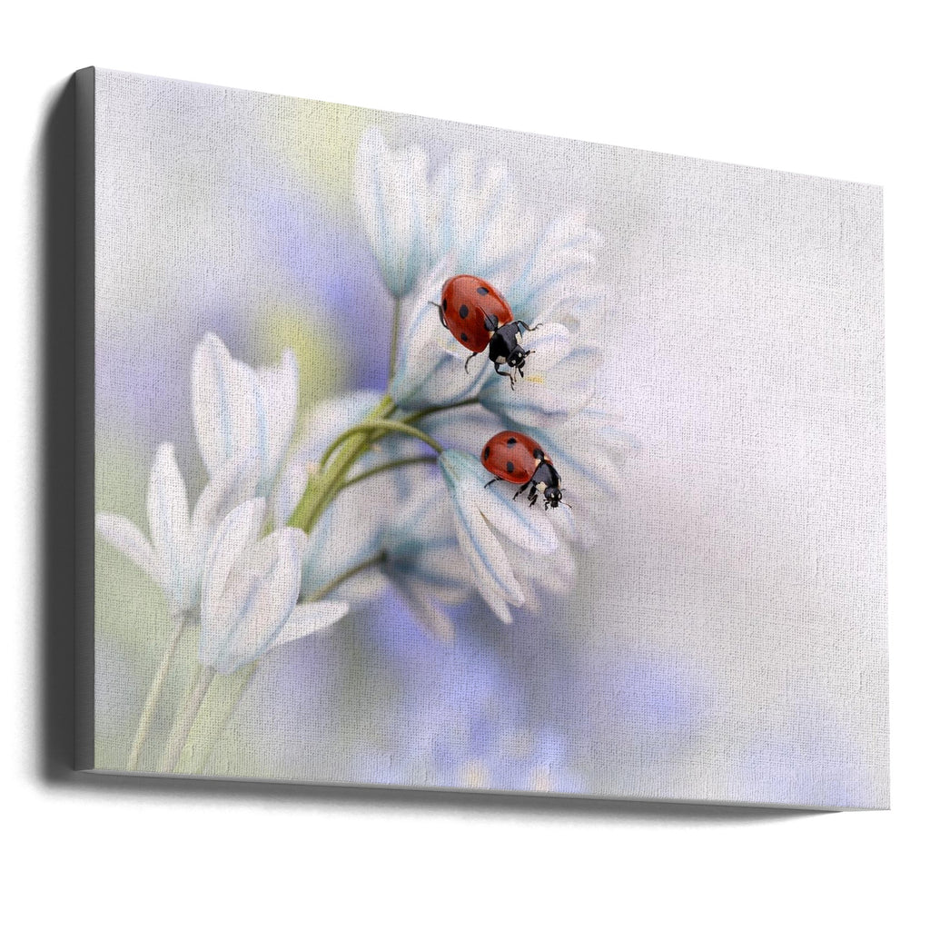 Wall art Ladybirds-0
