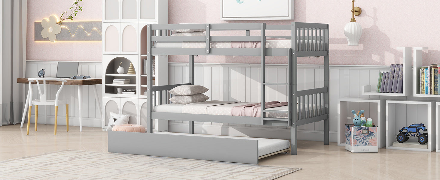 24218074