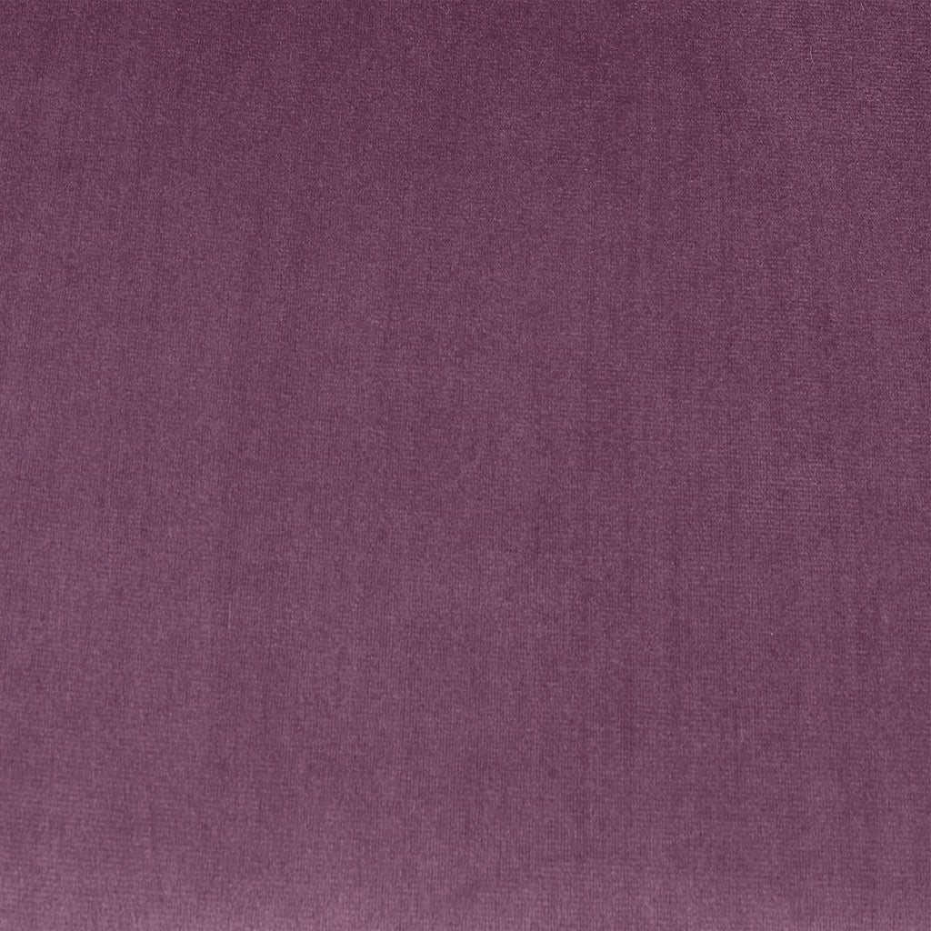 24340409