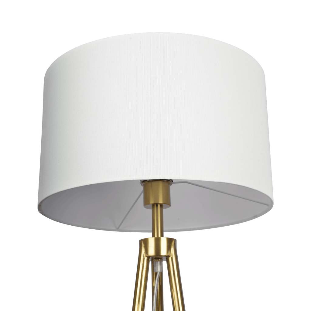 24485648